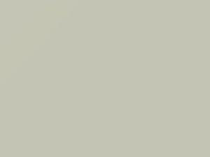 White touch-up paint for Daihatsu, code W20, 2017