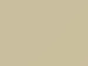 Colonial White touch-up paint for Ford Light Truck, code 6735, M6735A, ZM, 1994