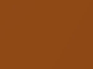 Lemans Sunset Metallic touch-up paint for Nissan, code A17, 2002