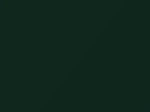 Racing Green Metallic touch-up paint for Lotus Lotus, code B119, 2004