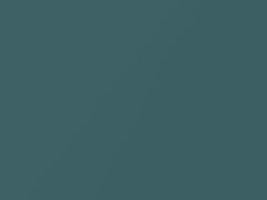 Neptune Metallic touch-up paint for Nissan, code FY0, 2003