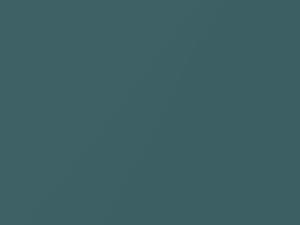 Neptune Metallic touch-up paint for Nissan, code FY0, 2003