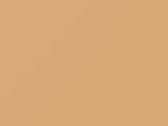 Apricot Beige touch-up paint for Porsche, code 548, 54B, E4, 1995