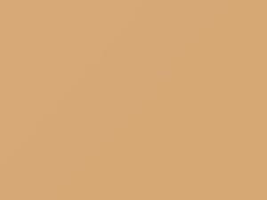 Apricot Beige touch-up paint for Porsche, code 548, 54B, E4, 1994
