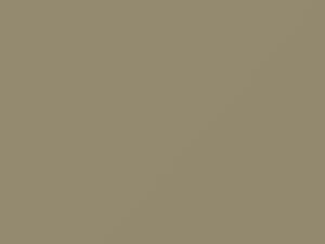 Shale/Shale Beige touch-up paint for Cadillac Eldorado, code 213C, 57, WA213C, 1997