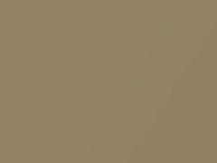 Gold Metallic touch-up paint for Toyota, code 4L9, 2005