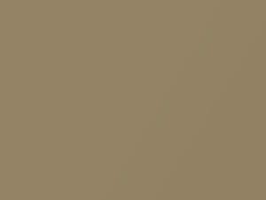 Gold Metallic touch-up paint for Toyota, code 4L9, 2005