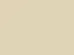 Mercedes-Benz Weiss Ambulance touch up paint 0-027 1976 All Models