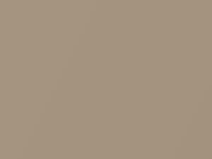 Beige Metallic touch-up paint for Lexus GS350, code 4K9, 2005