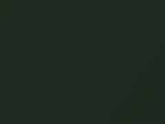 Verde Green Metallic touch-up paint for Buick, code 3886, 57, WA3886, 1969