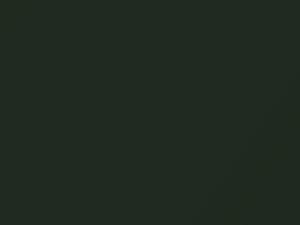 Verde Green Metallic touch-up paint for Buick, code 3886, 57, WA3886, 1969