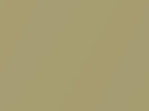Gold Metallic touch-up paint for Toyota, code 585, 2001