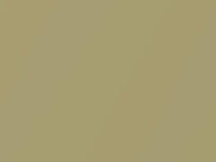 Gold Metallic touch-up paint for Toyota, code 585, 2002