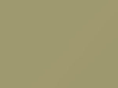 Desert Beige touch-up paint for Buick, code 3719, T, WA3719, 1968