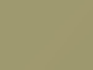 Desert Beige touch-up paint for Buick, code 3719, T, WA3719, 1968