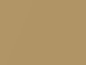 Golden Mist Metallic touch-up paint for Datsun, code 690, 1980