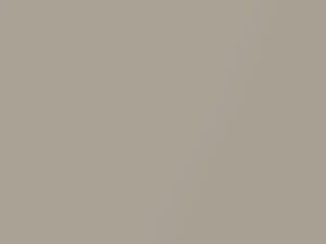 Silver Beige Metallic touch-up paint for Chevrolet, code 59, 8773, WA8773, 1987