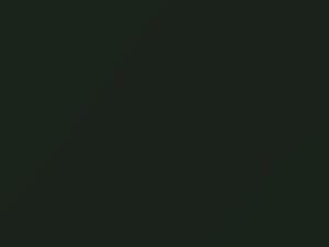 Sherwood Green Metallic touch-up paint for Jaguar XK8, code 1835, HGE, 1998