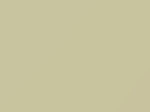 Navajo White touch-up paint for Isuzu, code 0128P1, 1983