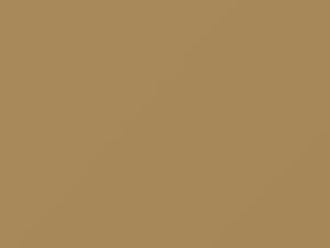 Kansas Beige touch-up paint for Audi, code 91D, L91D, 1974