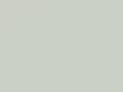 Winter White touch-up paint for Ford, code 3FA, A1, KLA, W1, 2016
