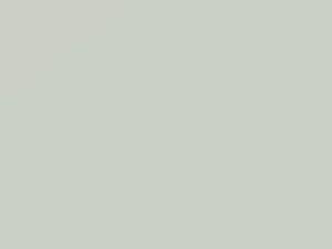 Winter White touch-up paint for Ford Fairlane, code 3FA, A1, KLA, W1, 2001