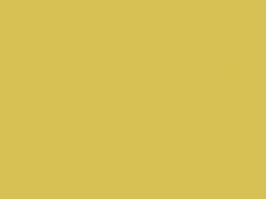 Mercedes-Benz Light Yellow touch up paint 1-691 1993 All Models