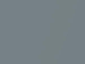 Audi Aviator Gray Pearl touch up paint 1X 2021 Tt