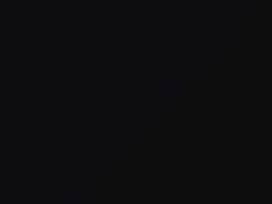 Mercedes-Benz Night Black touch up paint 696 2009 All Models