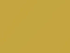Yellow Pearl touch-up paint for Scion Xa, code 595, 2004