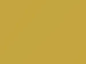 Yellow Pearl touch-up paint for Scion Xa, code 595, 2004