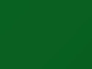 Green touch-up paint for Porsche, code 2D8, J5, L2D8, 2011