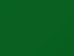 Green touch-up paint for Porsche 911 Turbo, code 2D8, J5, L2D8, 2008