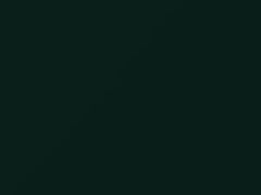 Juniper Green touch-up paint for Chevrolet, code 5776, WA5776, 1954
