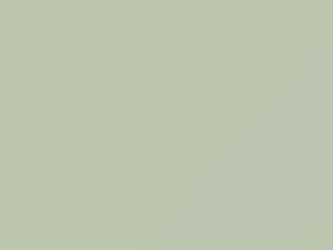 Mercedes-Benz Gletscherweiss touch up paint 738 2011 All Models