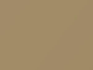 Cameo Beige touch-up paint for Chevrolet, code 3136, V, WA3136, 1966