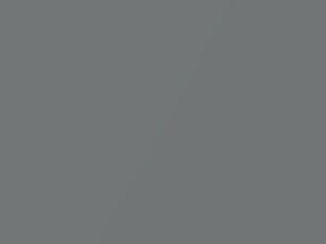 Light Gray Metallic touch-up paint for Chevrolet Venture, code 14, 9789, WA9789, 2003