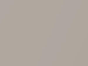Beige Metallic touch-up paint for Toyota, code 4G8, 1990