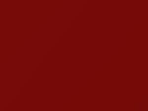 BMW Iberian Red touch up paint 16 1979 All Models