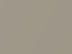 Beige Metallic touch-up paint for Mitsubishi, code CSS10015, S15, 2004