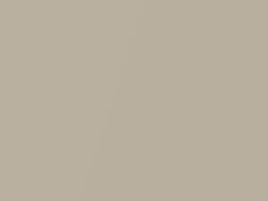 Sand Dollar Pearl touch-up paint for Lexus GX470, code 4R2, 2004