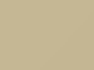 Old English White touch-up paint for Lotus Lotus, code B71, 2000