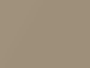 California Gold Metallic touch-up paint for Suzuki, code 70C, 2005