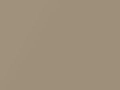 California Gold Metallic touch-up paint for Suzuki, code 70C, 2005