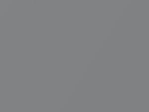 Silver Metallic touch-up paint for Toyota, code 7119, 2004