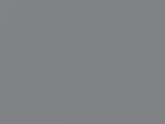Silver Metallic touch-up paint for Toyota, code 7119, 2004