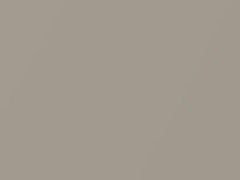 Mercedes-Benz Rocky Metallic Light Brownmeta touch up paint 1697 2003 All Models