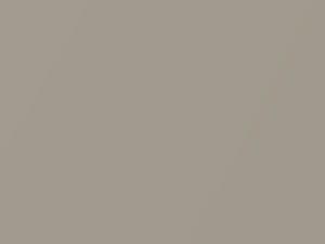 Mercedes-Benz Rocky Metallic Light Brownmeta touch up paint 1697 2003 All Models