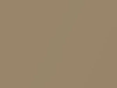 Medium Gold Metallic touch-up paint for Lincoln, code 6865, BH, M6865A, 1999