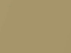 Mojave Tan Metallic touch-up paint for Hummer H1, code 904231, T32, 2007